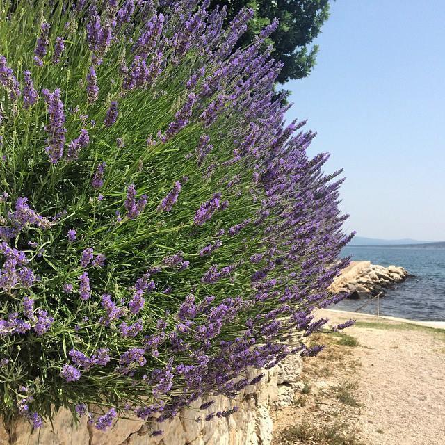 Apartman Mare Maslenica Dış mekan fotoğraf